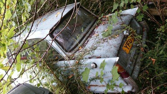 DSC_0013.jpg DSC_0013.jpg