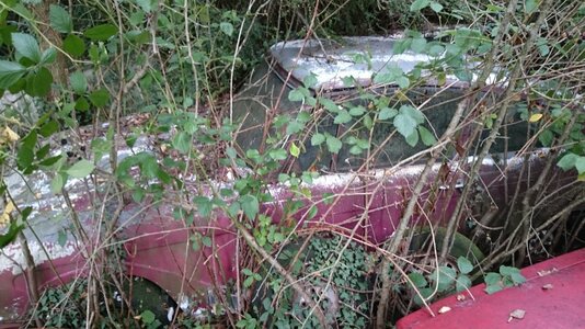 DSC_0005.jpg DSC_0005.jpg