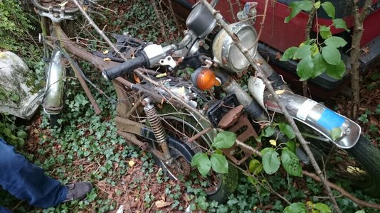 DSC_0008.jpg DSC_0008.jpg