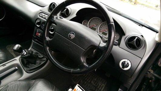 IMAG0459.jpg