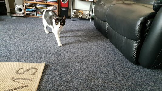20180516_193928.jpg 20180516_193928.jpg