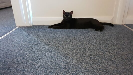 20180516_201424.jpg 20180516_201424.jpg