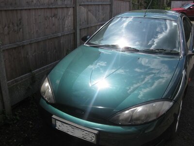 IMG_1603A.jpg IMG_1603A.jpg