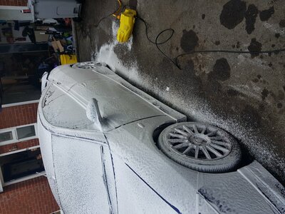 20180714_115018.jpg