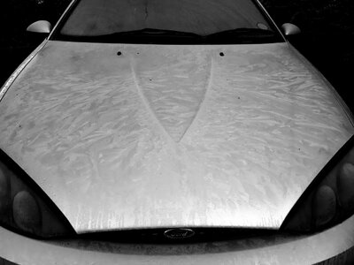 20180329-001-bw.jpg