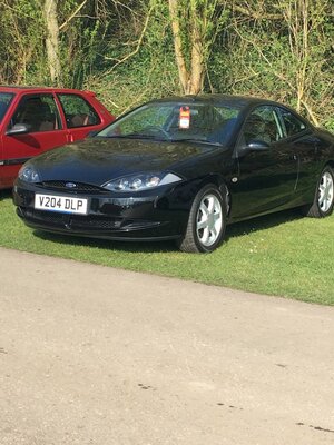 IMG_0517.jpg IMG_0517.jpg