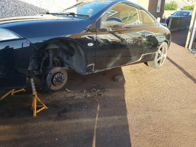 ebony cougar repairs 1..jpg