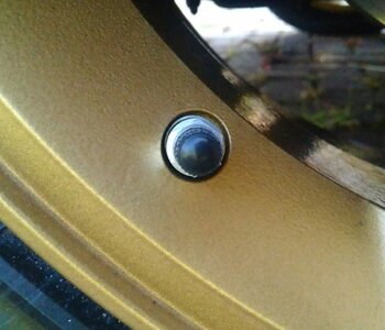 IMG_20190802_171928.jpg IMG_20190802_171928.jpg