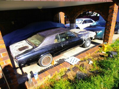 PB100231.jpg PB100231.jpg