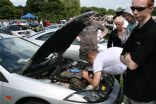harewoodbonnet.jpg