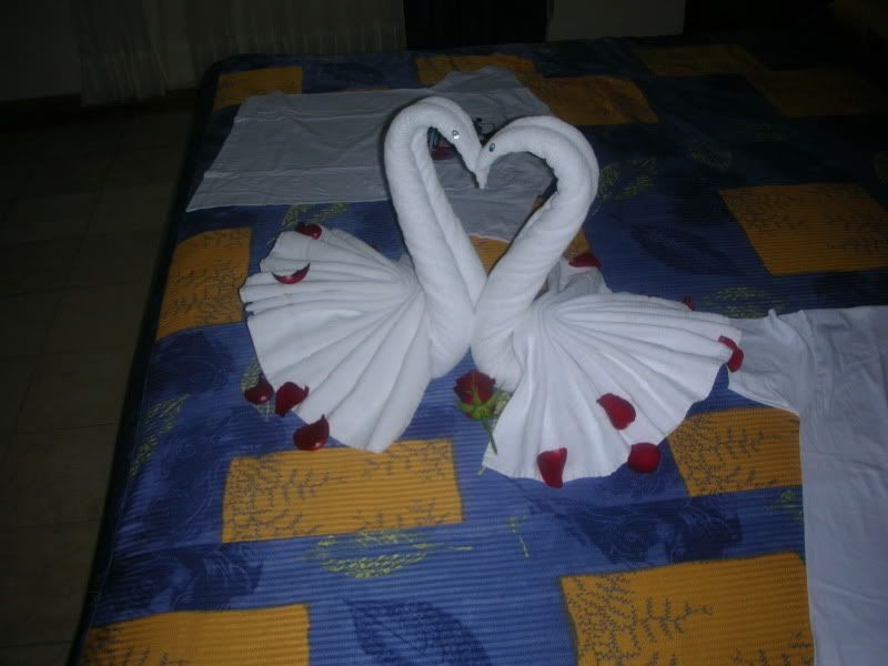 DSCN0527.jpg
