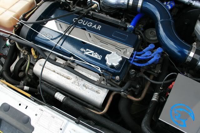 ff0911.jpg