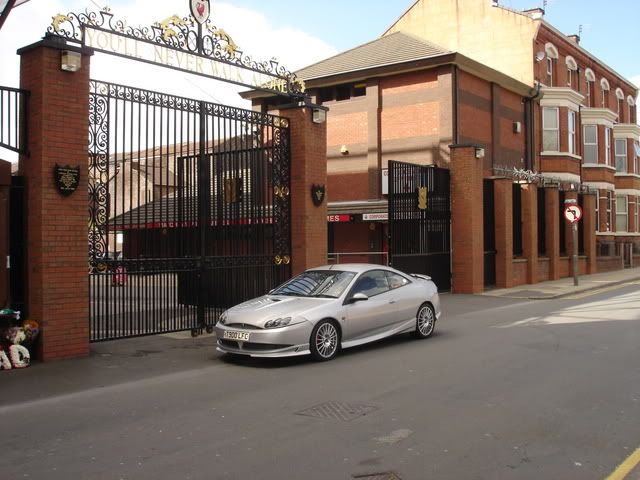 lfccougarpictures004.jpg