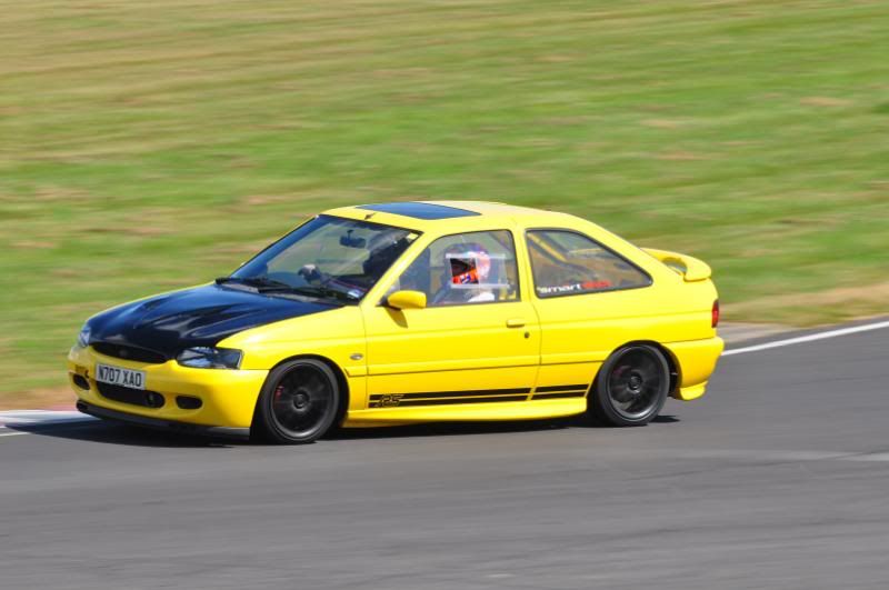 yellowrs1.jpg