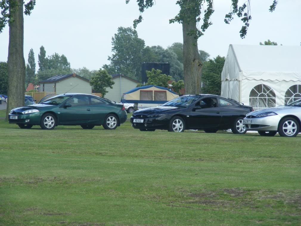 2008_020208ougarfest0049.jpg