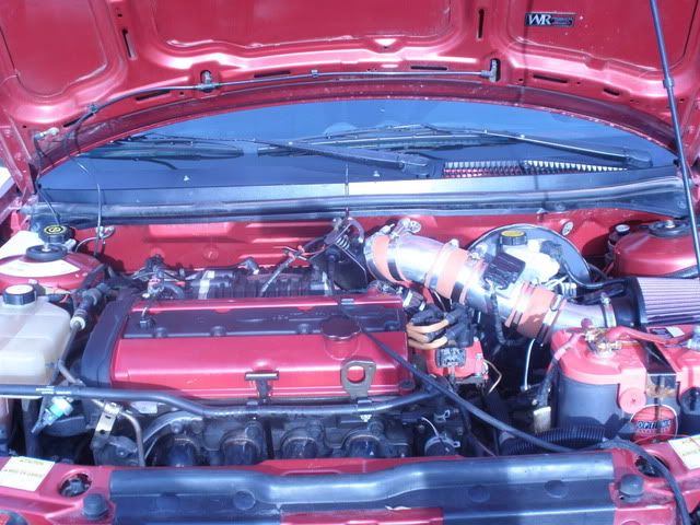 P3280230-1.jpg