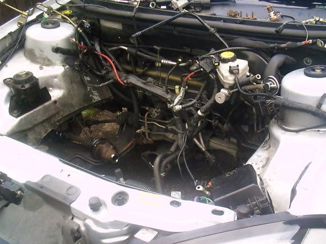 IMAG0021.jpg