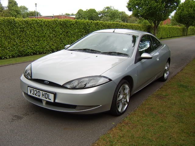 Cougar006.jpg