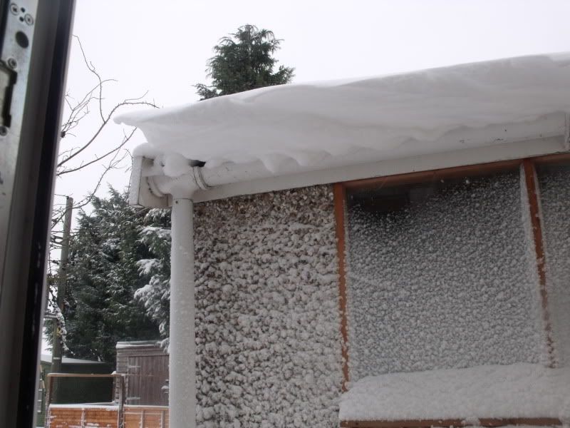 snow007.jpg