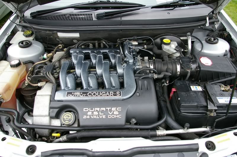 IMGP5503800x600.jpg