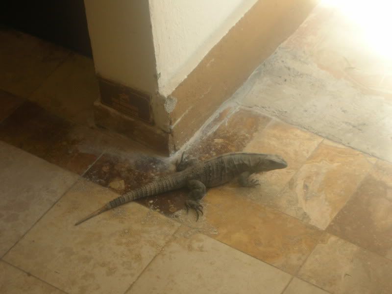 DSCN0533.jpg