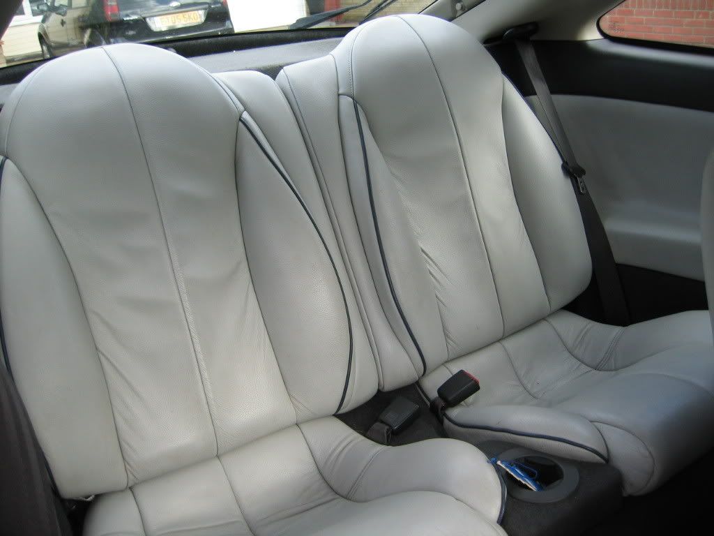 Cougar008.jpg
