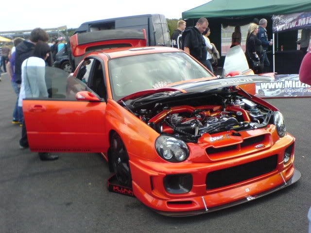 DSC02361.jpg