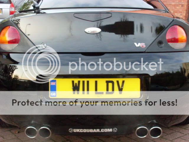 CougWashedClayBarredandpolished141011004.jpg