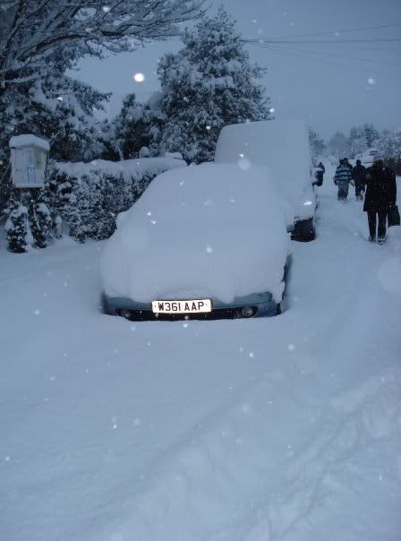 306insnow.jpg