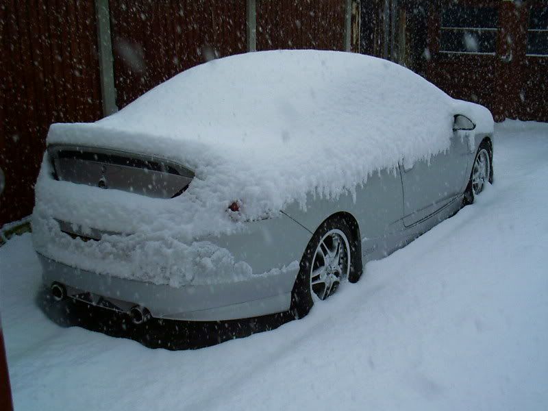 IMAG0019.jpg
