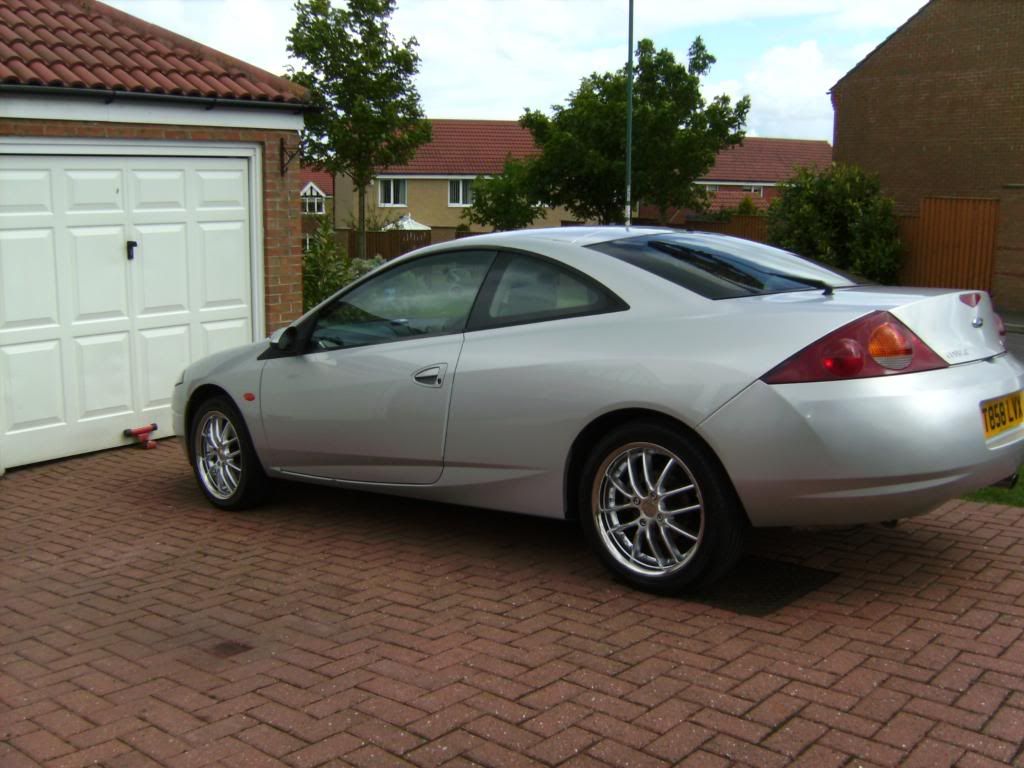 cougardevon051.jpg