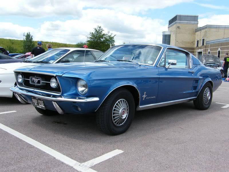 DSCF0380800x600.jpg