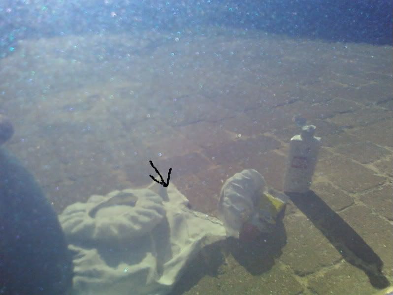 SP_A0060.jpg