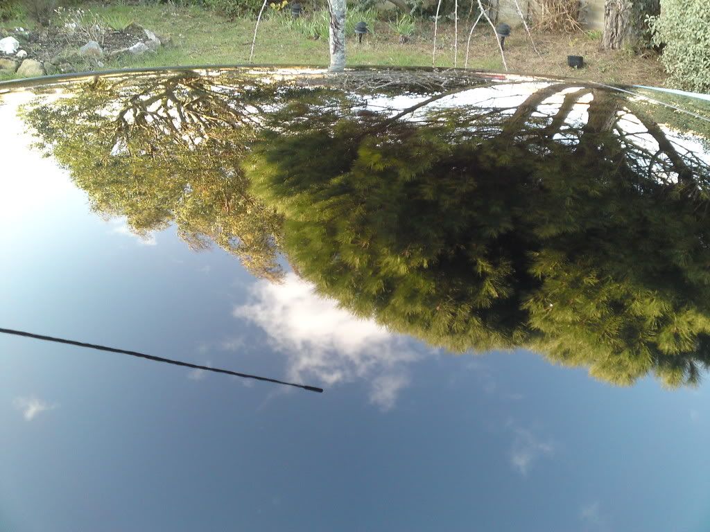 P26-02-10_1631.jpg