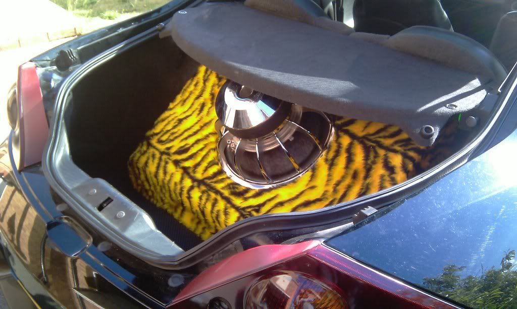 IMAG0279.jpg