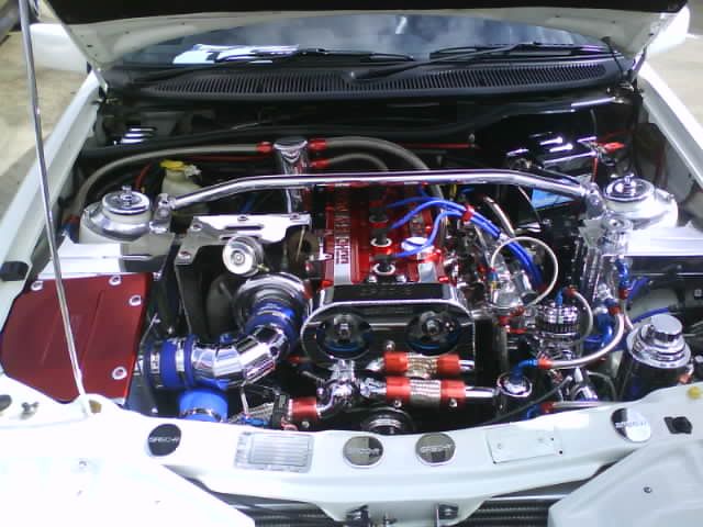 DSC00812.jpg