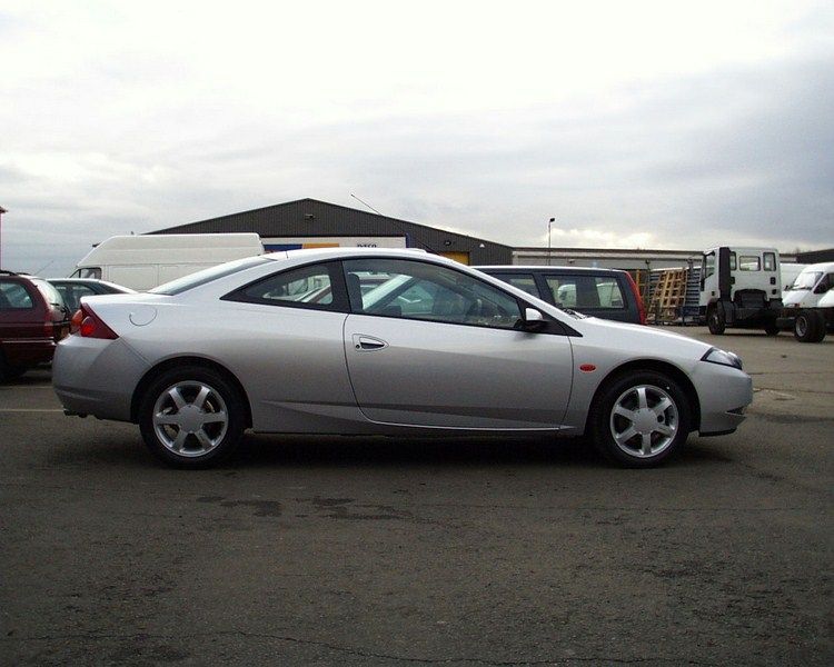 cougar5800x600.jpg