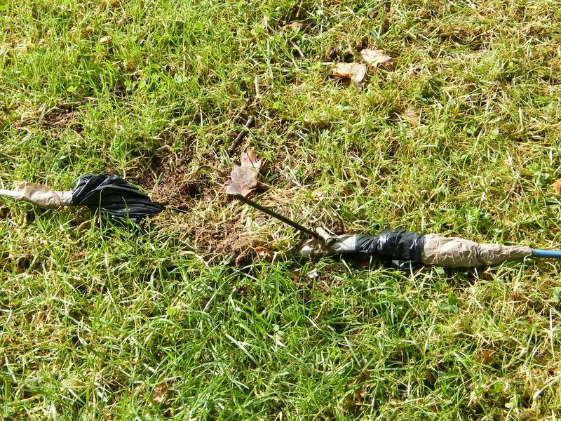 DSCF0629800x600.jpg