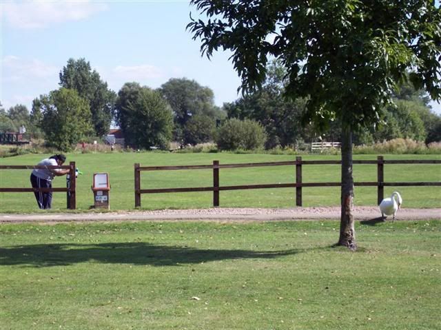 100_1084MediumSmall.jpg