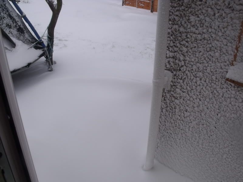 snow006.jpg