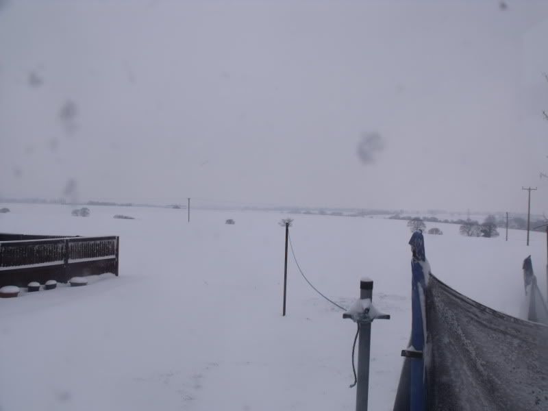 snow002.jpg