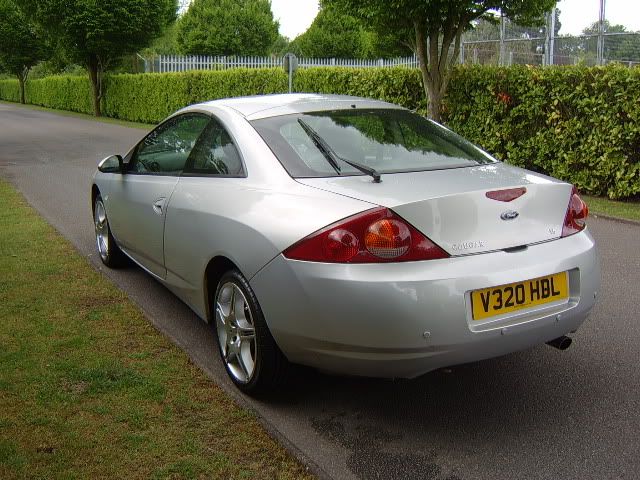 Cougar007.jpg