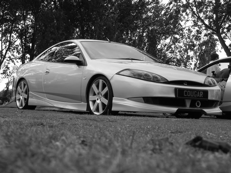 DSCF5139800x600.jpg