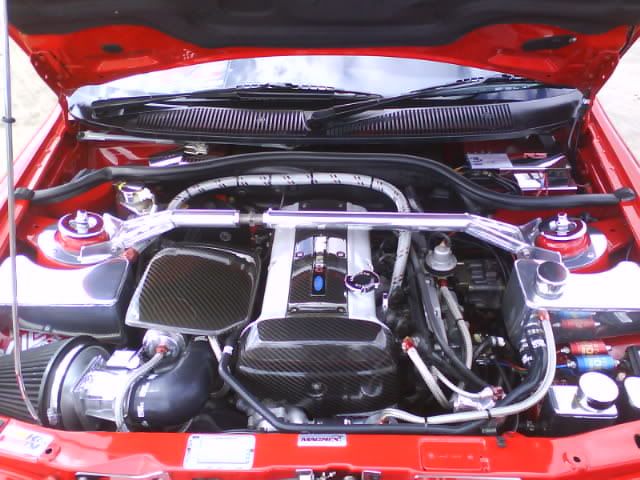 DSC00811.jpg