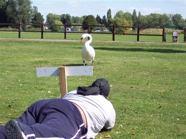 100_1086MediumSmall.jpg