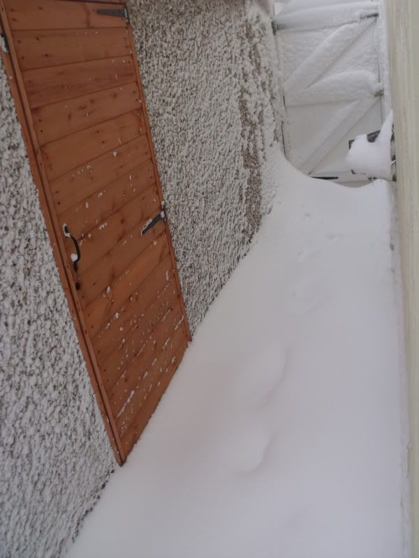 snow004.jpg