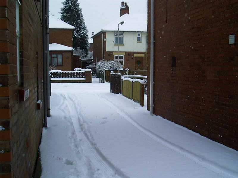 IMAG0020.jpg