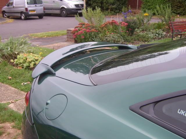 LookingGood004.jpg