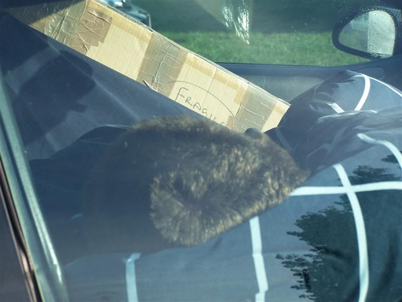 100_0751Medium.jpg