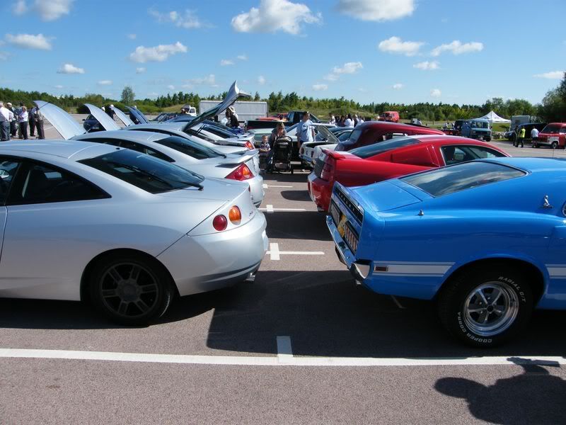 DSCF0267800x600.jpg